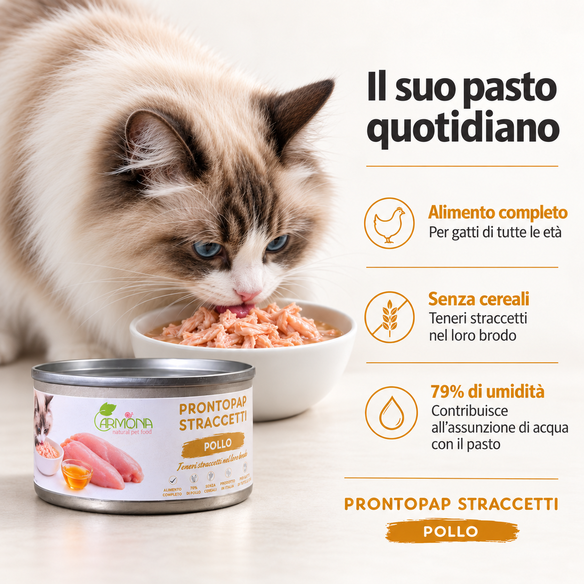 ProntoPap - Straccetti di Pollo 70 g