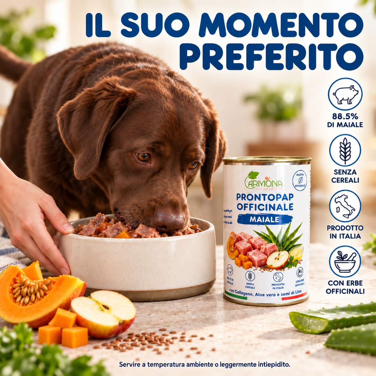 ProntoPap Officinale Maiale per cani - 400 g — Carmona