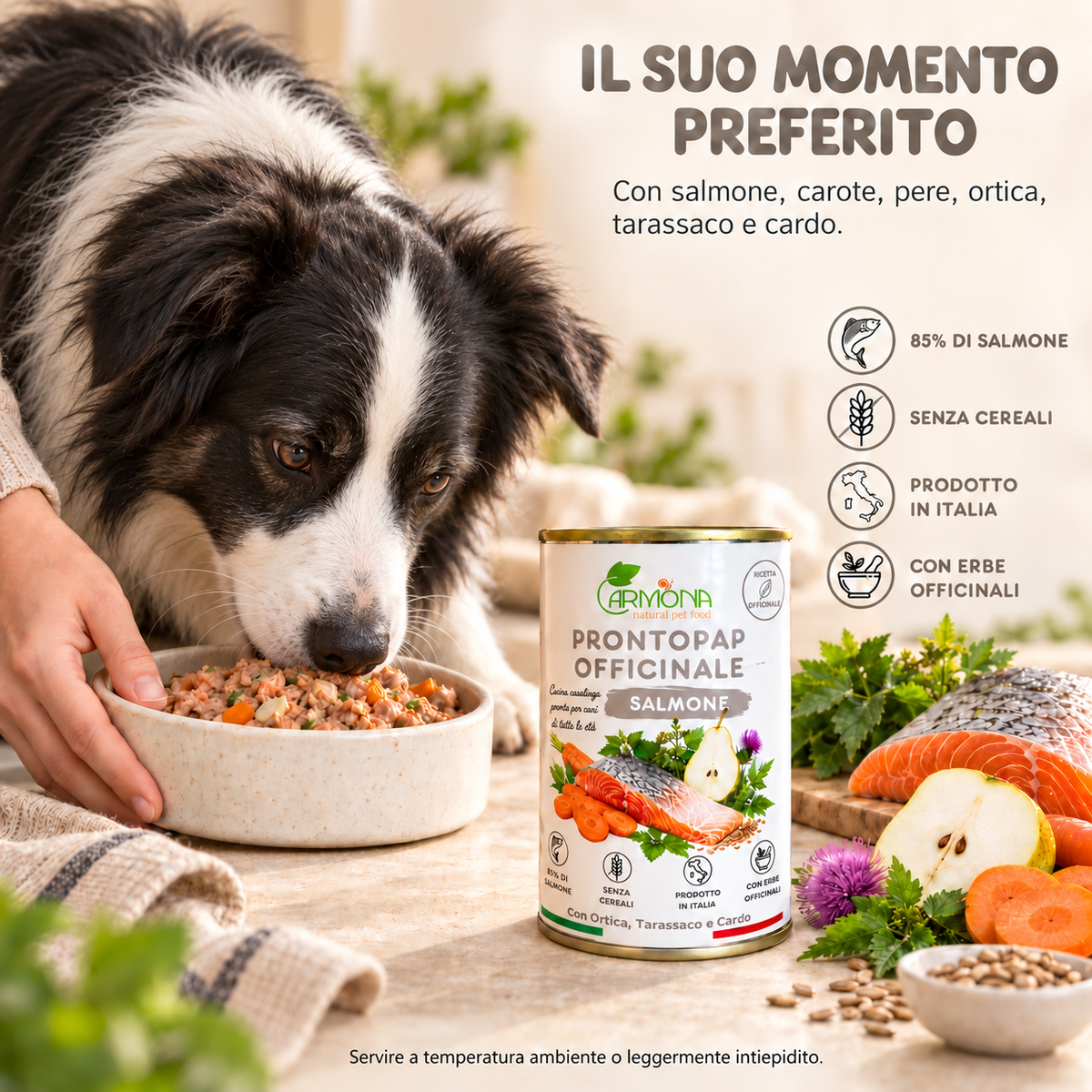 ProntoPap Officinale Salmone per cani - 400 g — Carmona