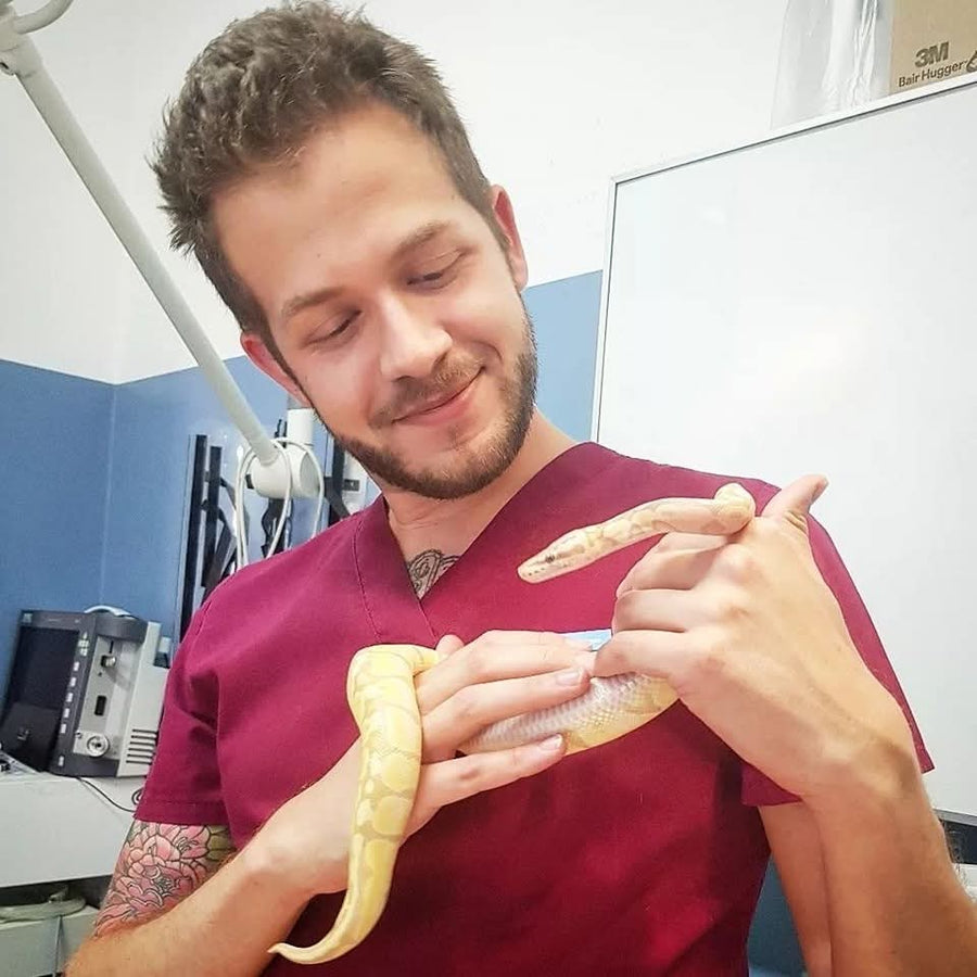Alessio Monti Carelli, fondatore di Carmona