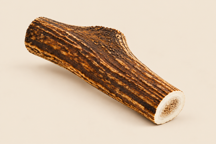 Masticativi Carmona