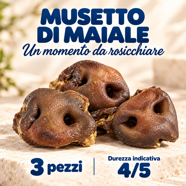 Musetto di maiale