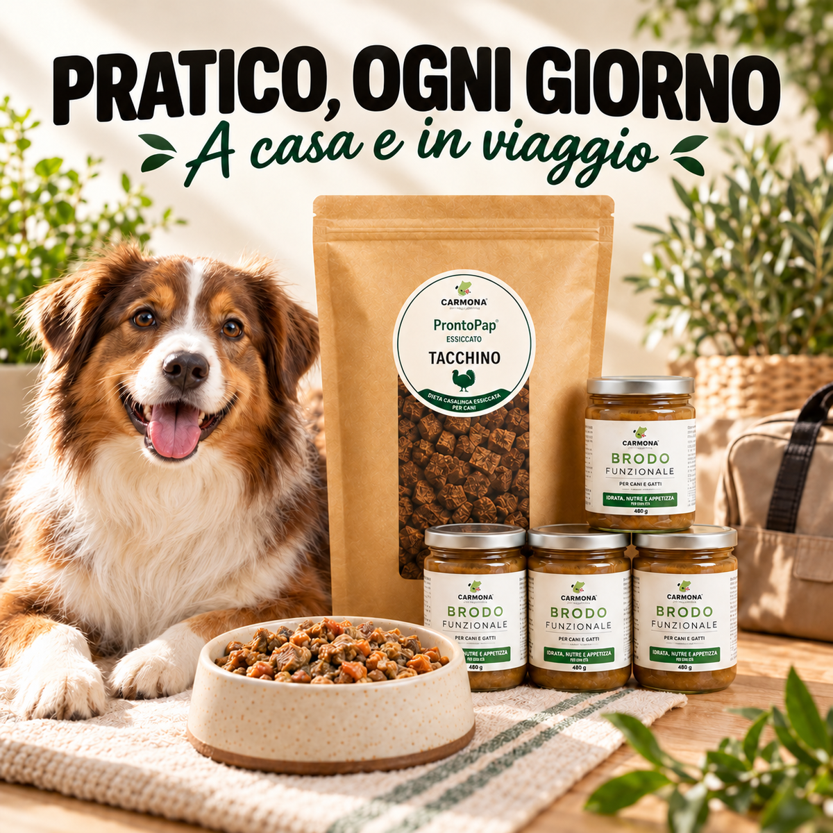 STARTER KIT TACCHINO - 1 Kg PRONTOPAP ESSICCATO + 4 BRODO FUNZIONALE DA 480 g 5