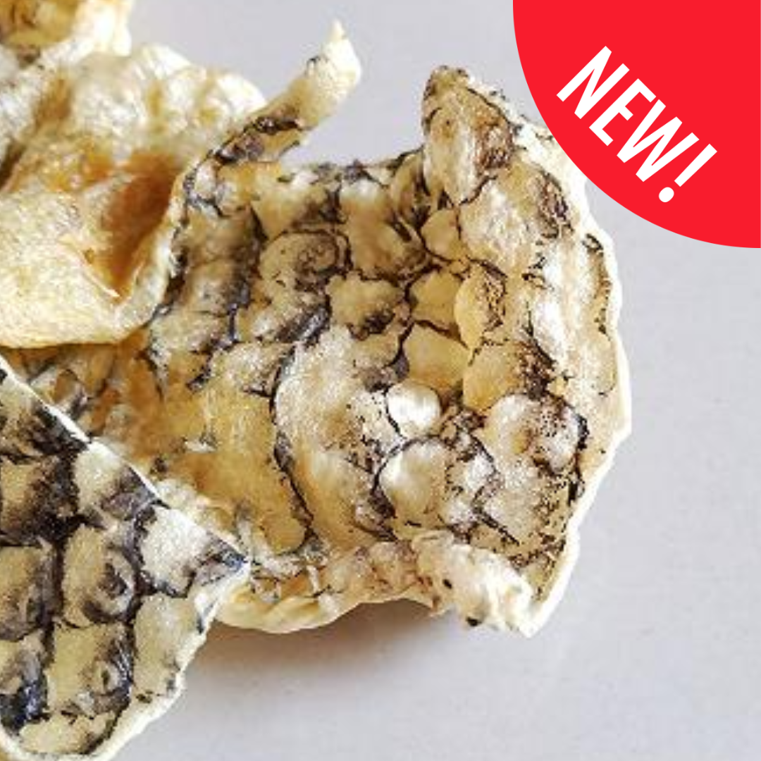 CHIPS DI PELLE DI SALMONE - 100 g