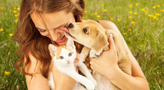 IBD nel cane e nel gatto: solo la dieta non basta - Carmona Natural Pet Food & Cosmetics