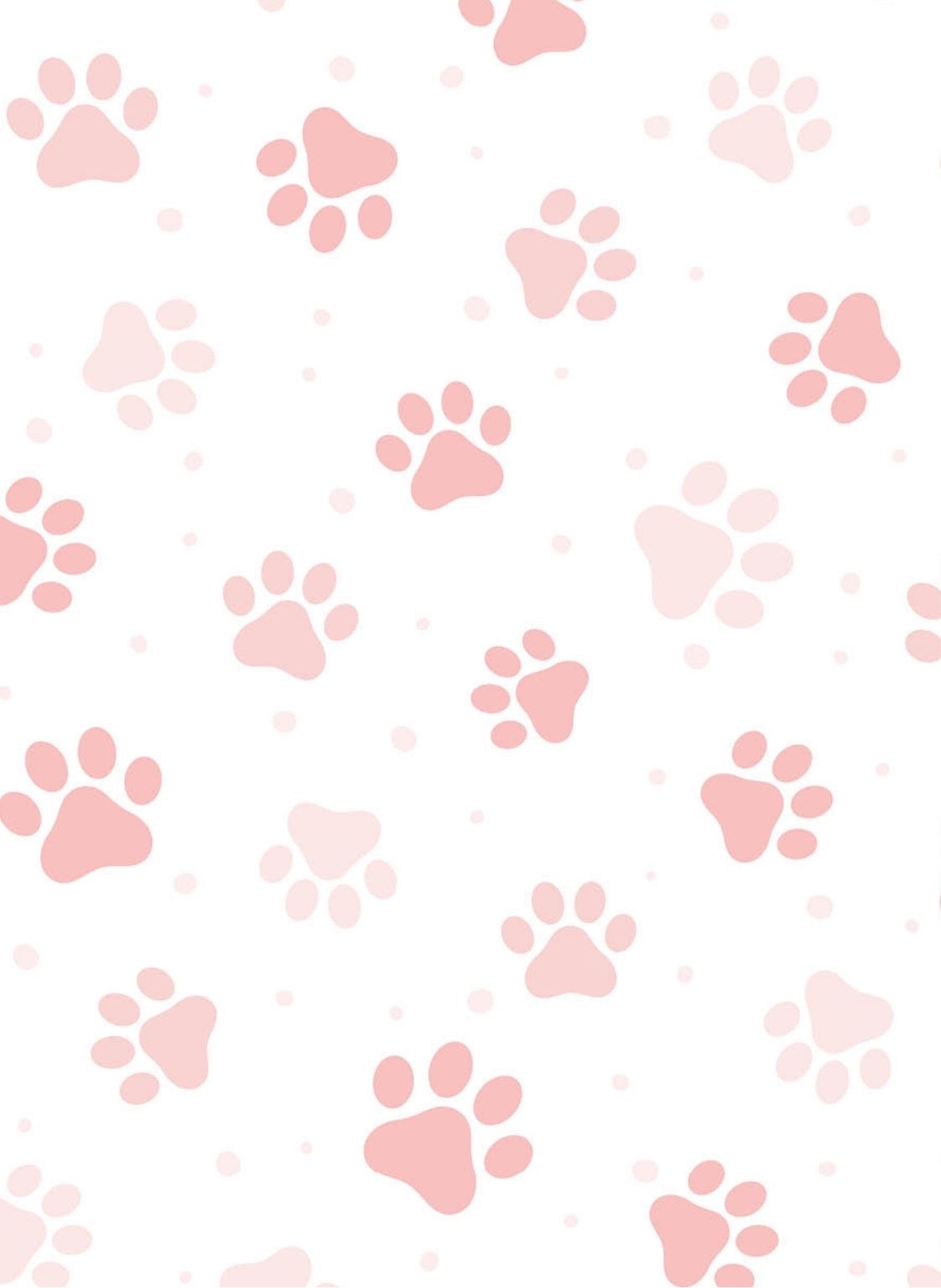 MONOPROTEINA LOW FAT