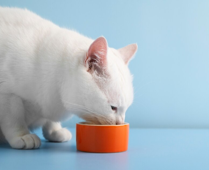 Crocchette per il controllo del peso