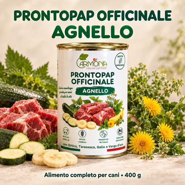ProntoPap Officinale Agnello con Ortica, Tarassaco, Galio e Verga d'Oro | Alimento completo per cani
