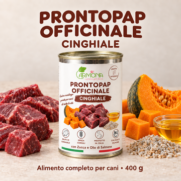 ProntoPap Officinale cinghiale con zucca e olio di salmone | alimento completo per cani – 400 g