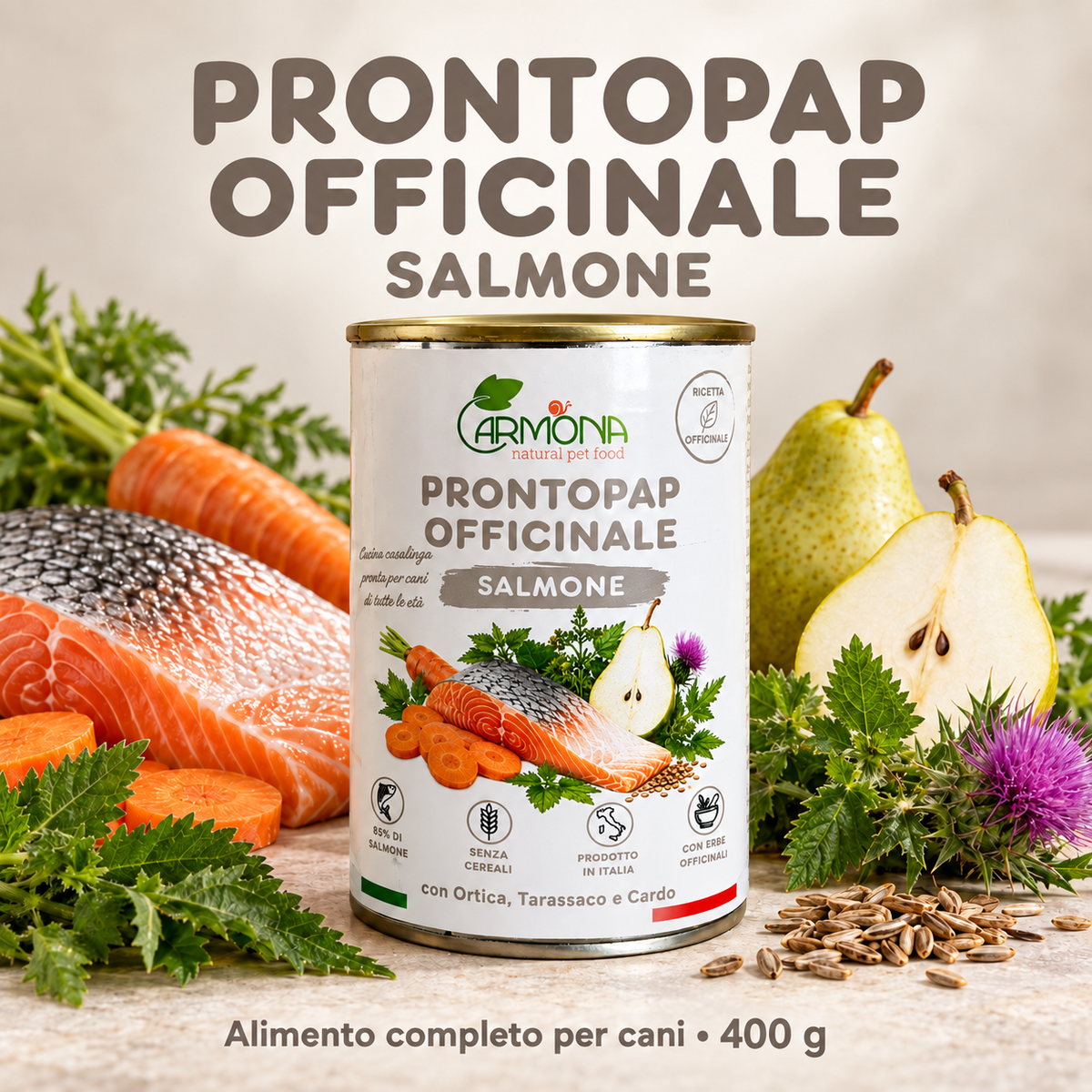 ProntoPap Officinale Salmone per cani - 400 g — Carmona