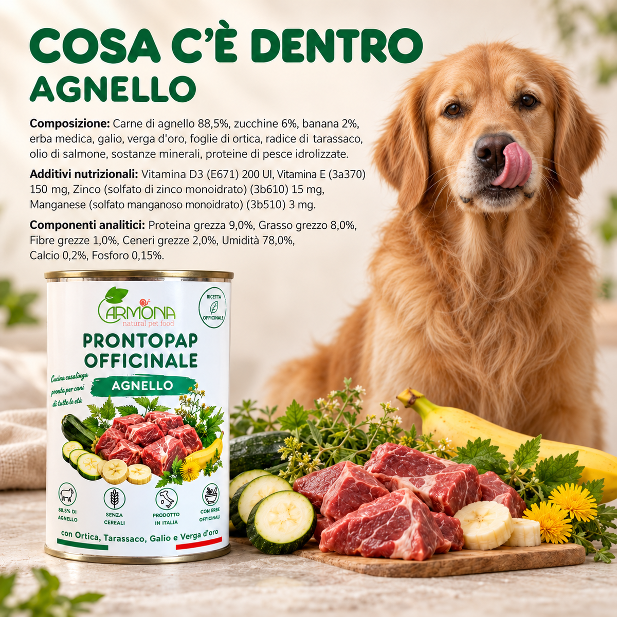 ProntoPap Officinale Agnello per cani - 400 g — Carmona
