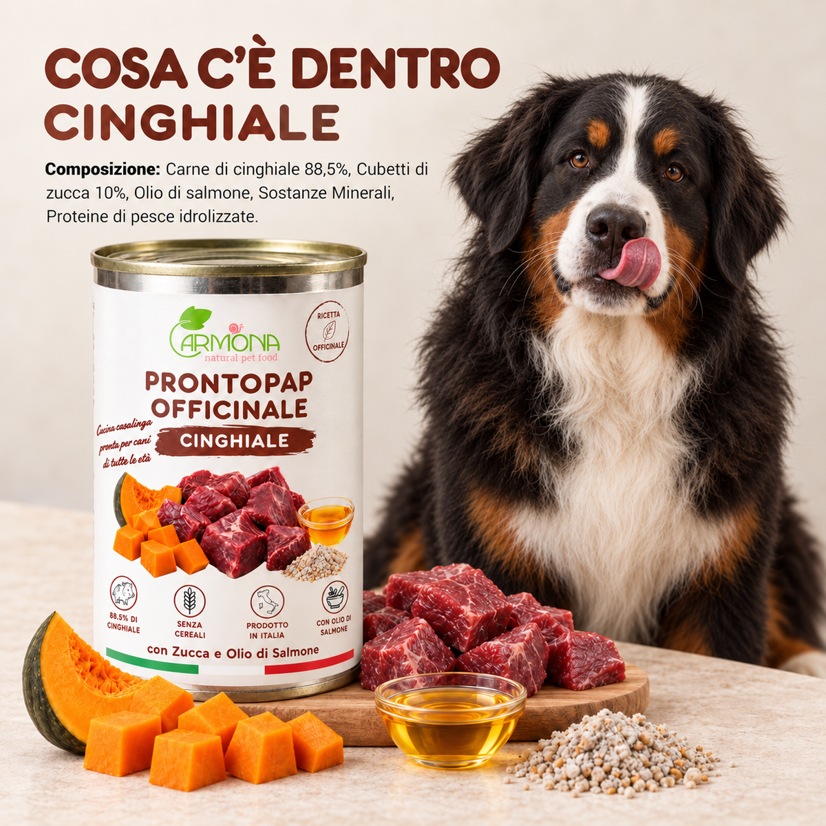ProntoPap Officinale Cinghiale con Zucca e Olio di Salmone | Alimento completo per cani – 400 g