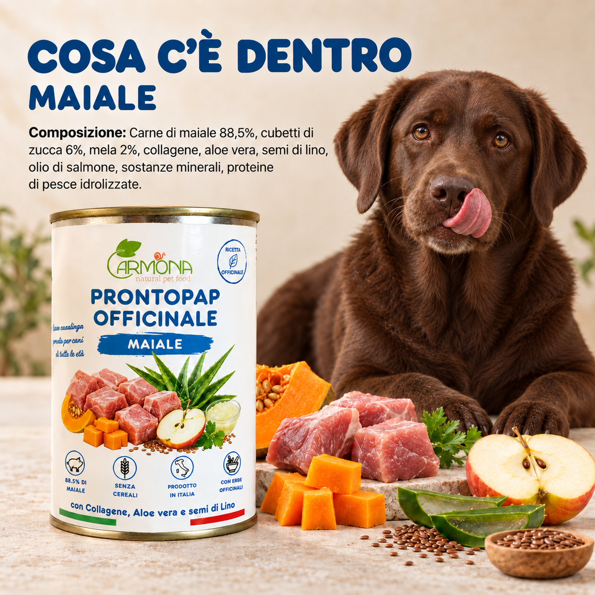 ProntoPap Officinale Maiale per cani - 400 g — Carmona