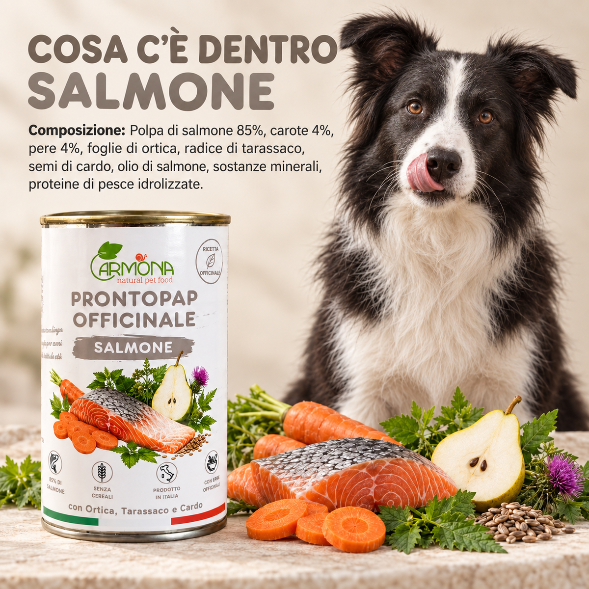 ProntoPap Officinale Salmone per cani - 400 g — Carmona