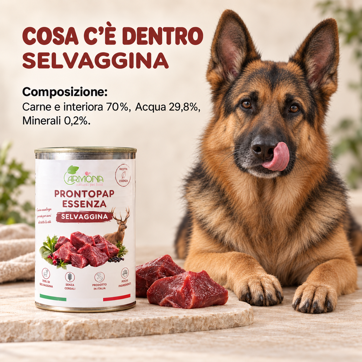 ProntoPap Essenza Selvaggina | Alimento completo senza cereali per cani – 400 g