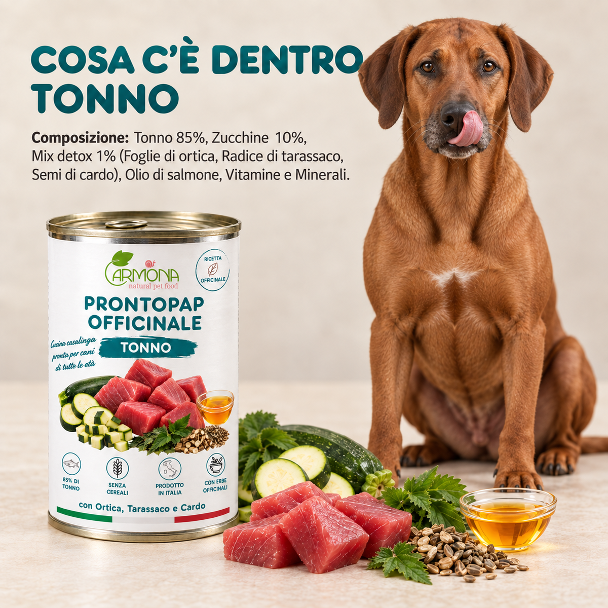ProntoPap Officinale Tonno con Ortica, Tarassaco e Cardo | Alimento completo per cani – 400 g
