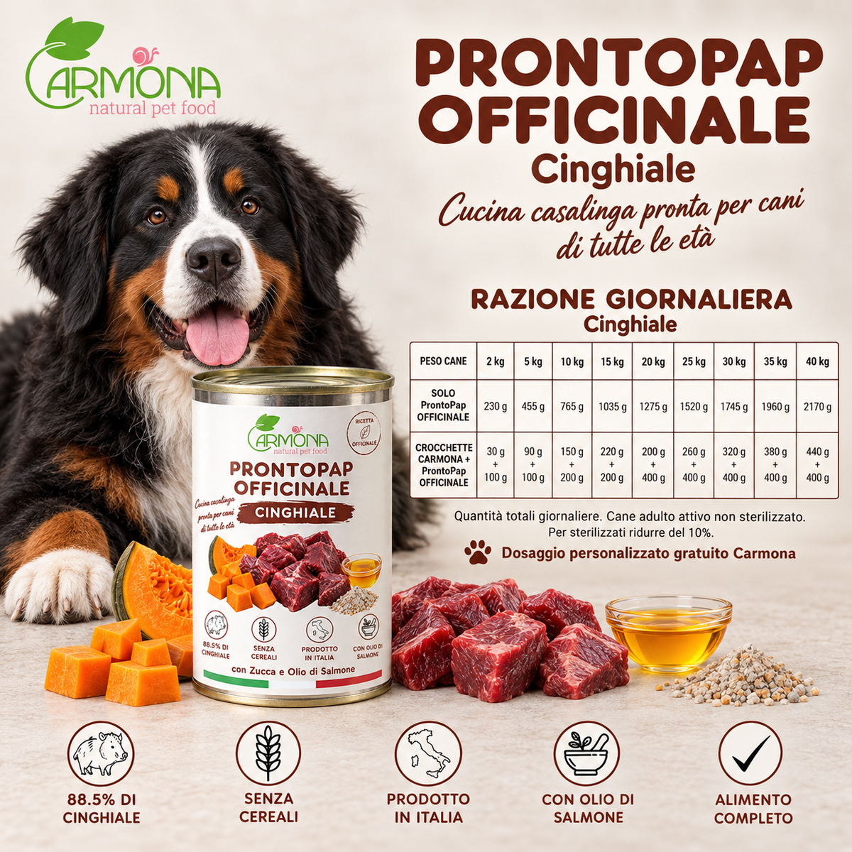 ProntoPap Officinale Cinghiale con Zucca e Olio di Salmone | Alimento completo per cani – 400 g