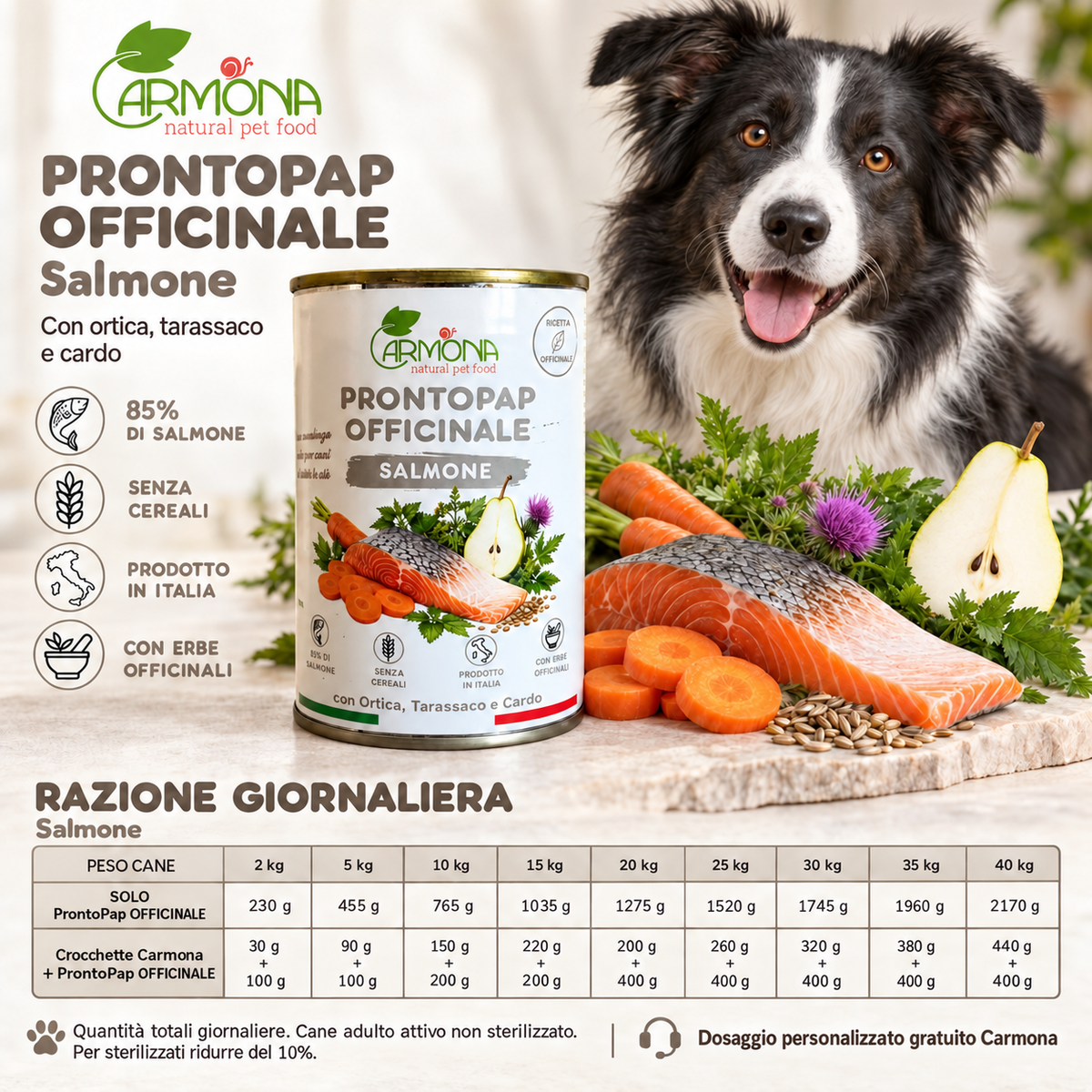 ProntoPap Officinale Salmone per cani - 400 g — Carmona