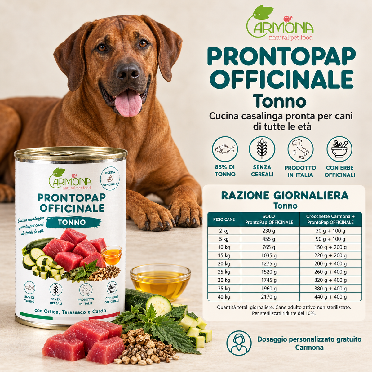 ProntoPap Officinale Tonno con Ortica, Tarassaco e Cardo | Alimento completo per cani – 400 g