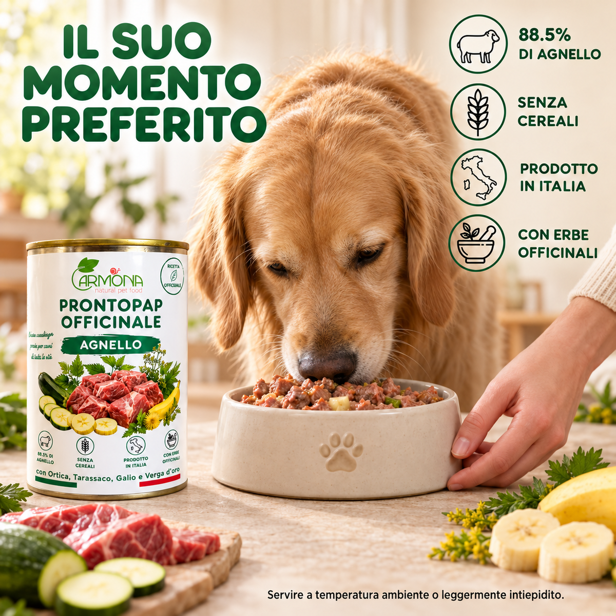 ProntoPap Officinale Agnello per cani - 400 g — Carmona