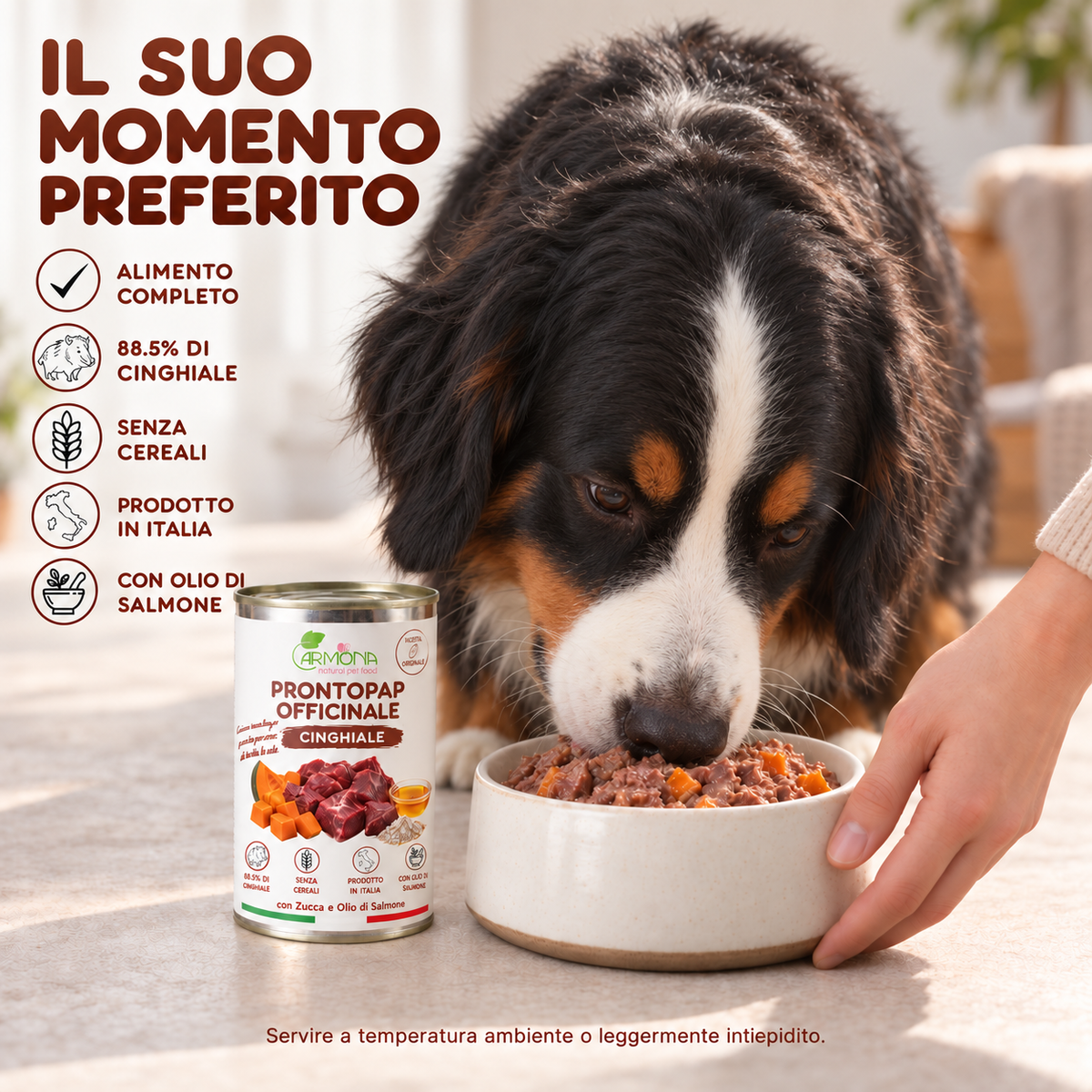 ProntoPap Officinale Cinghiale con Zucca e Olio di Salmone | Alimento completo per cani – 400 g