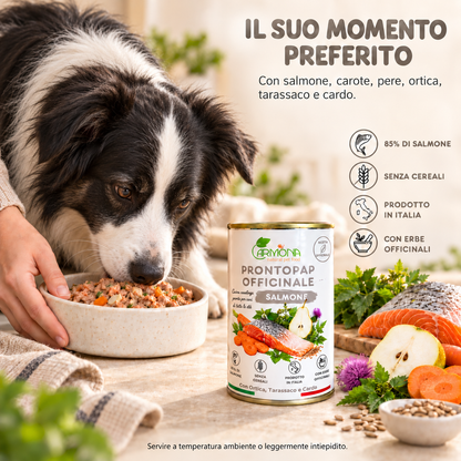ProntoPap Officinale Salmone per cani - 400 g — Carmona