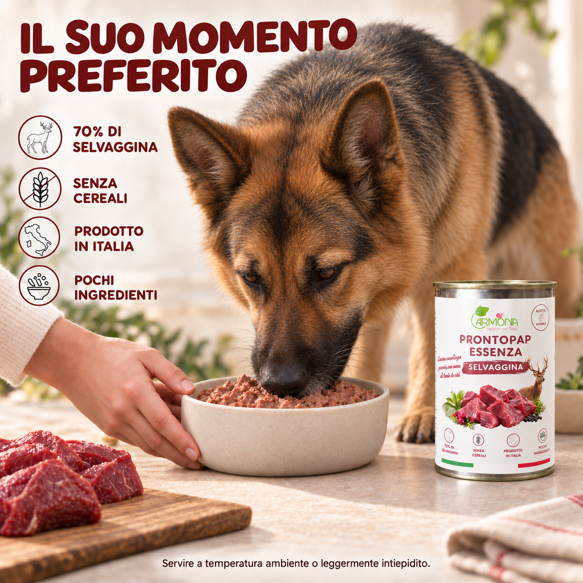 ProntoPap Essenza Selvaggina | Alimento completo senza cereali per cani – 400 g