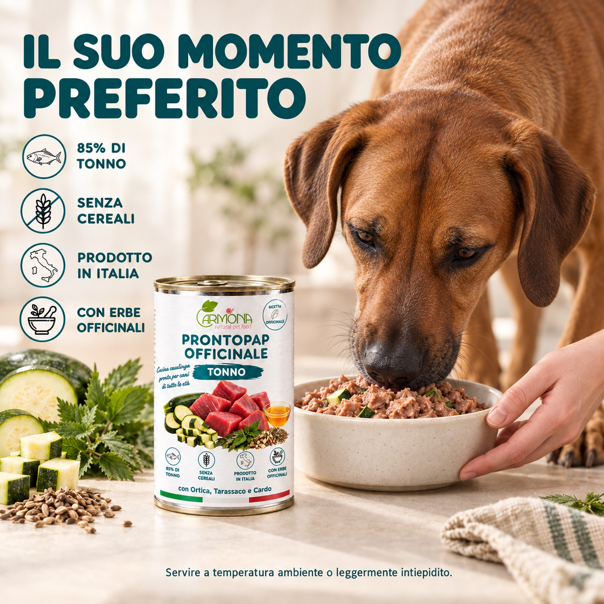 ProntoPap Officinale Tonno con Ortica, Tarassaco e Cardo | Alimento completo per cani – 400 g