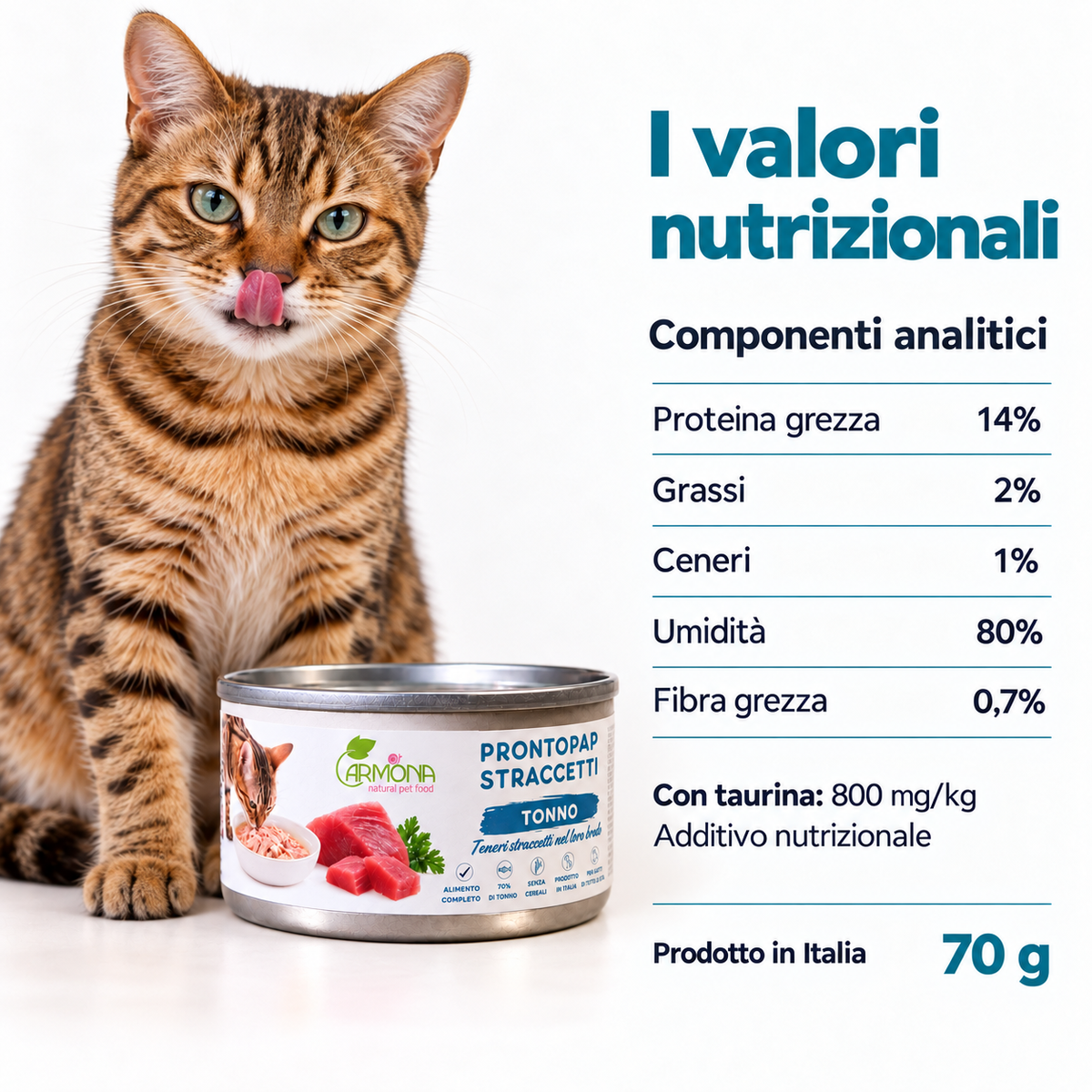 ProntoPap - Straccetti di Tonno 70 g