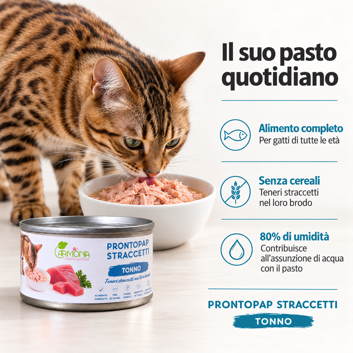 ProntoPap - Straccetti di Tonno 70 g