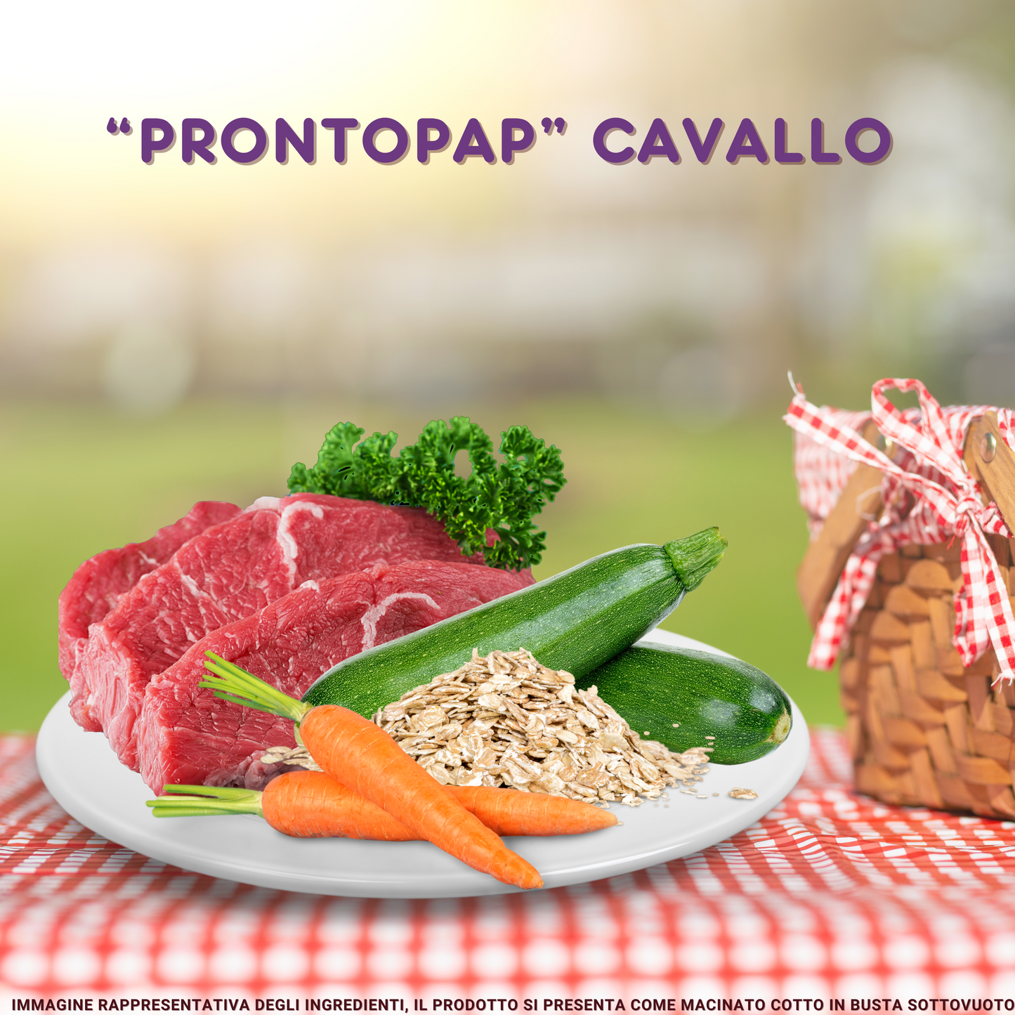 PRONTOPAP: BOX DA 5 BUSTE x 400 g MONO-GUSTO CAVALLO