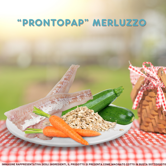 PRONTOPAP: BOX DA 5 BUSTE x 400 g MONO-GUSTO MERLUZZO