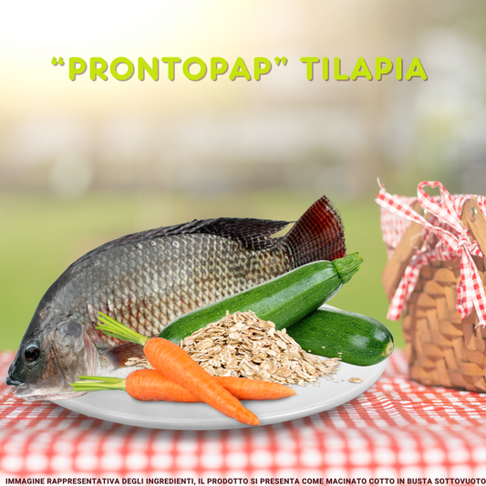 PRONTOPAP: BOX DA 5 BUSTE x 400 g MONO-GUSTO TILAPIA