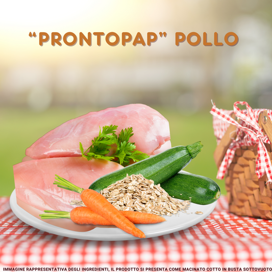 PRONTOPAP: BOX DA 5 BUSTE x 400 g MONO-GUSTO POLLO