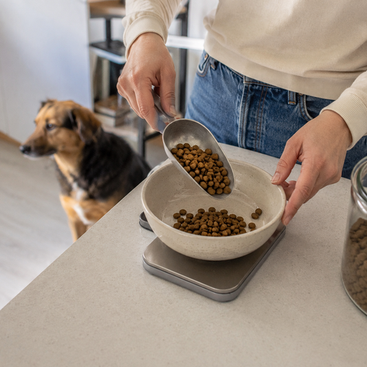 Dosaggio personalizzato del cibo per cane con ciotola e bilancia