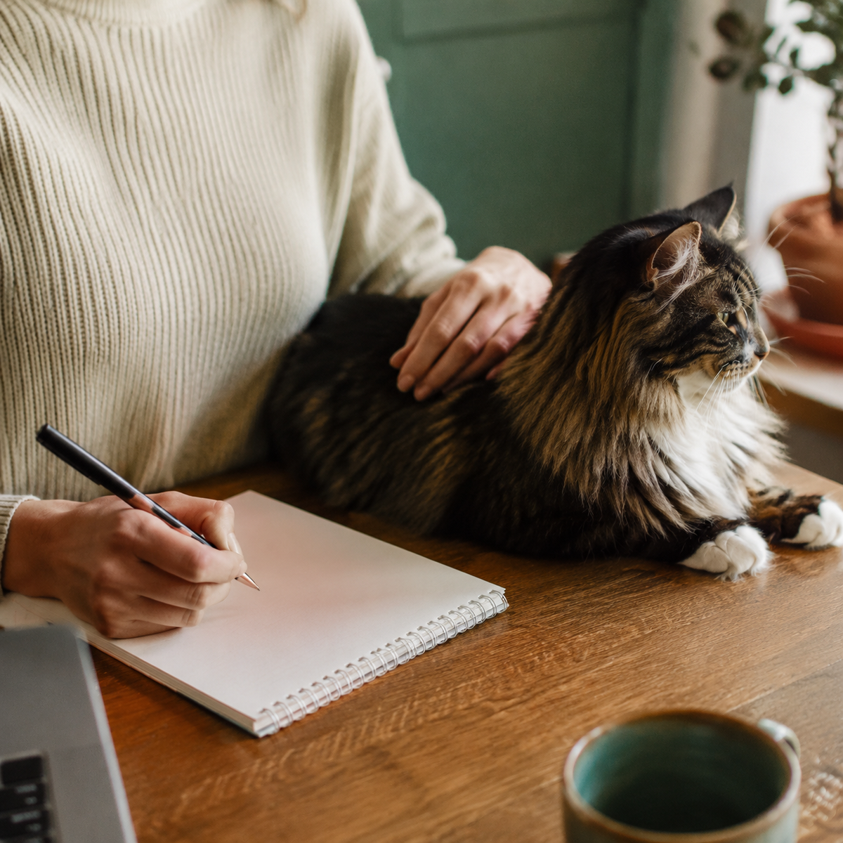 Controllo nutrizionale online per cane o gatto con raccolta dei dati