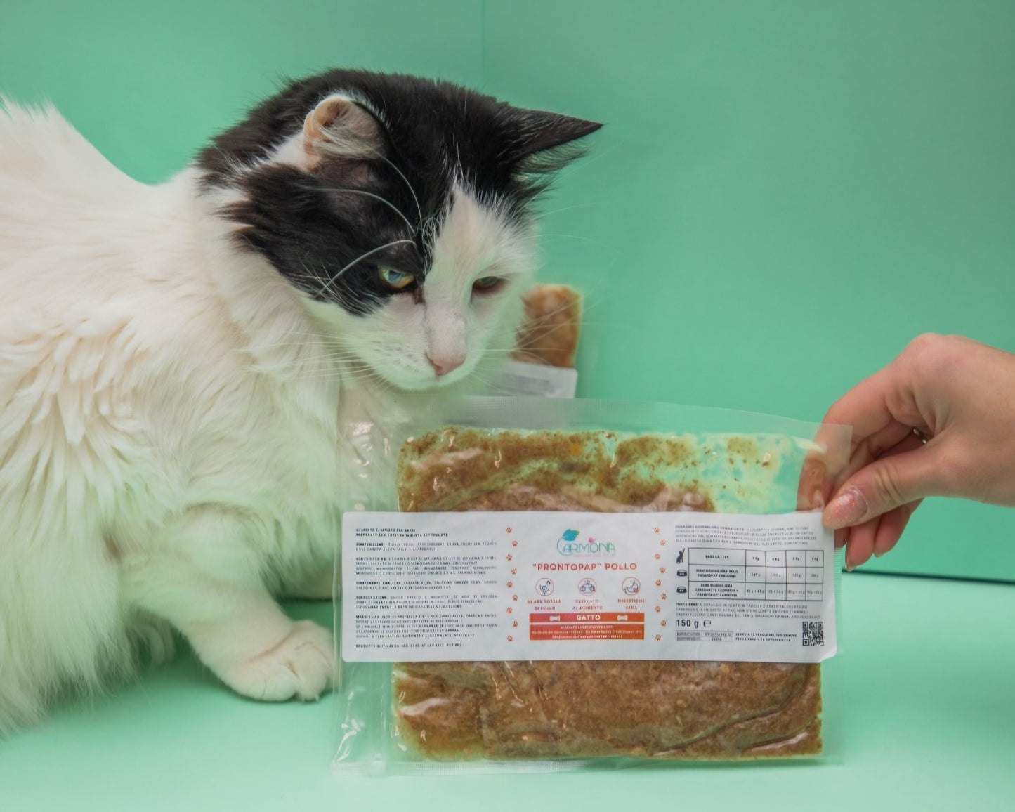 BOX DEGUSTAZIONE 5 GUSTI x 150 grammi - PRONTOPAP GATTO