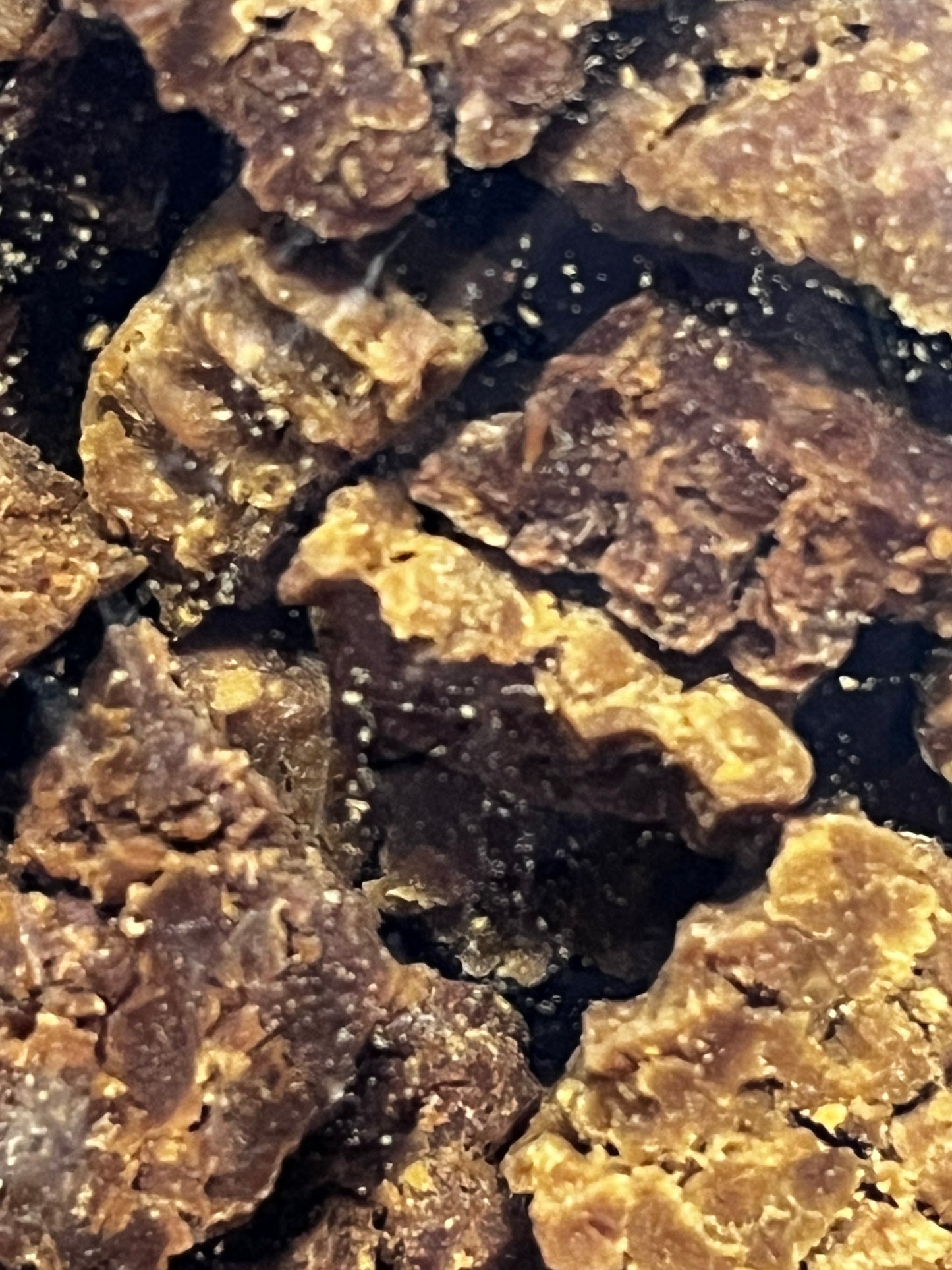 ProntoPap Essiccato MAIALE - 1 Kg