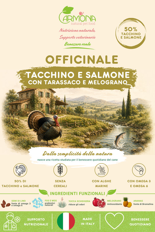 OFFICINALE al Tacchino e Salmone - cani di taglia media/grande