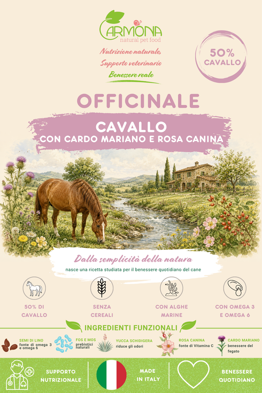 OFFICINALE al Cavallo