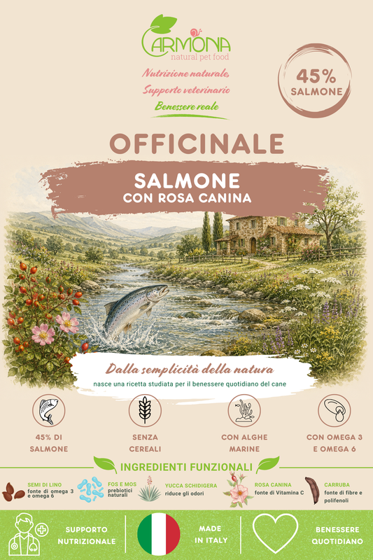 OFFICINALE al Salmone