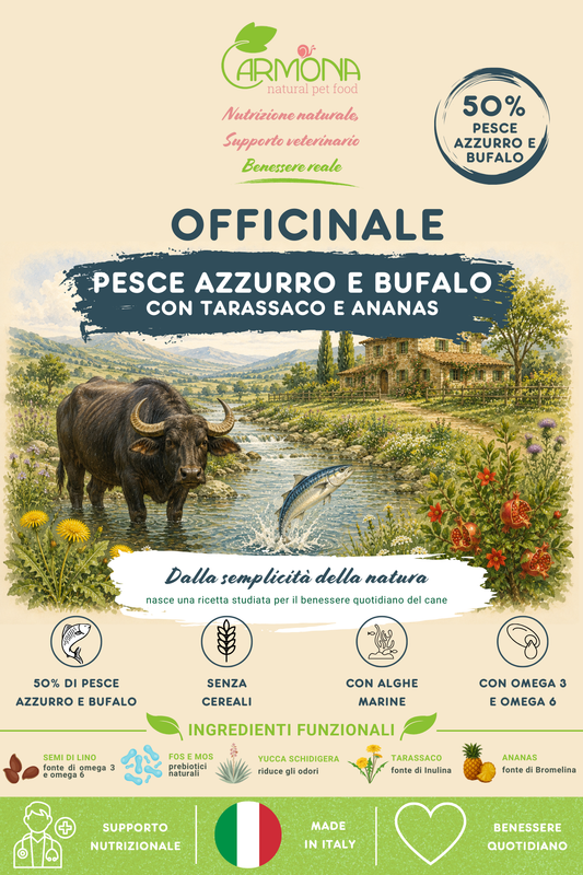 OFFICINALE con Pesce azzurro e Bufalo