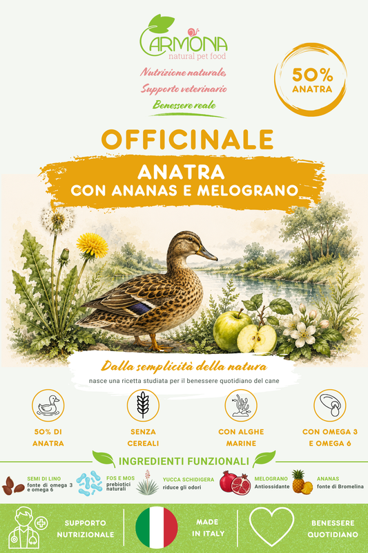 OFFICINALE all'Anatra