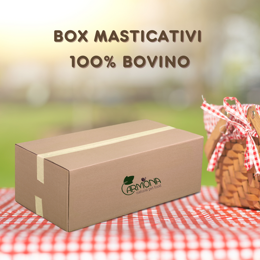 BOX MASTICATIVI 100% BOVINO