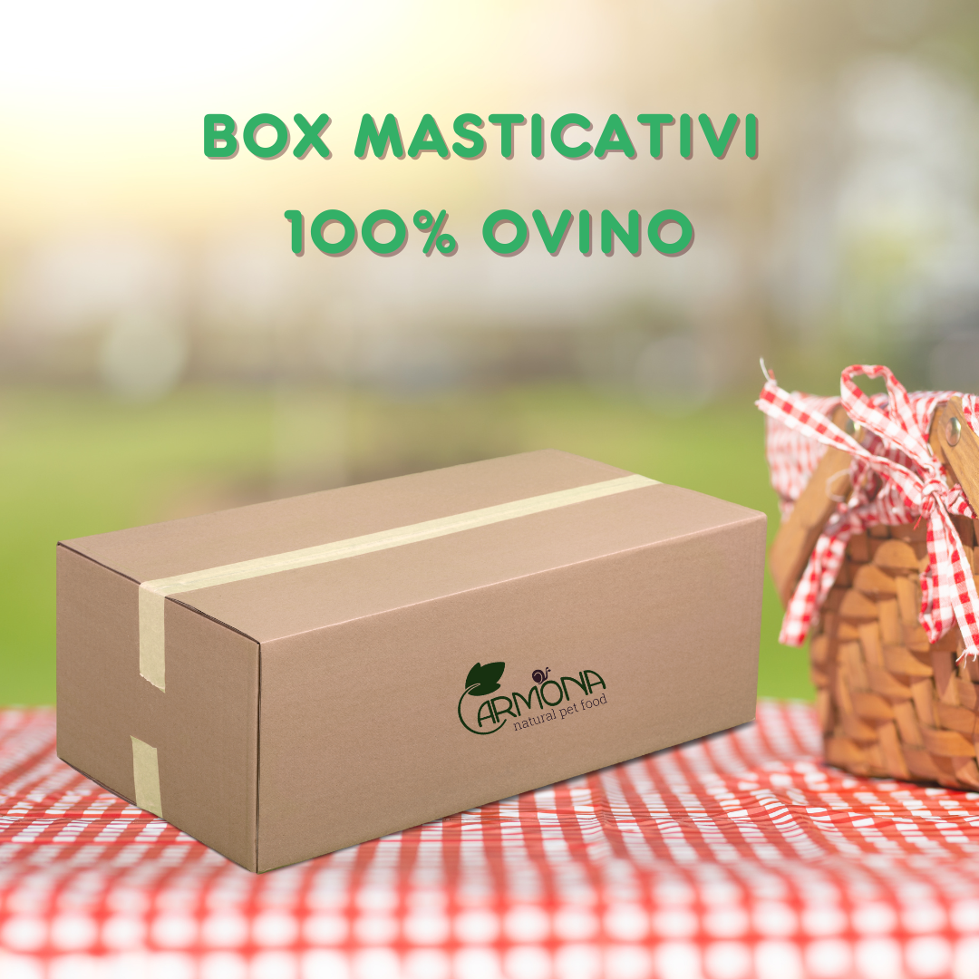 BOX MASTICATIVI 100% OVINO