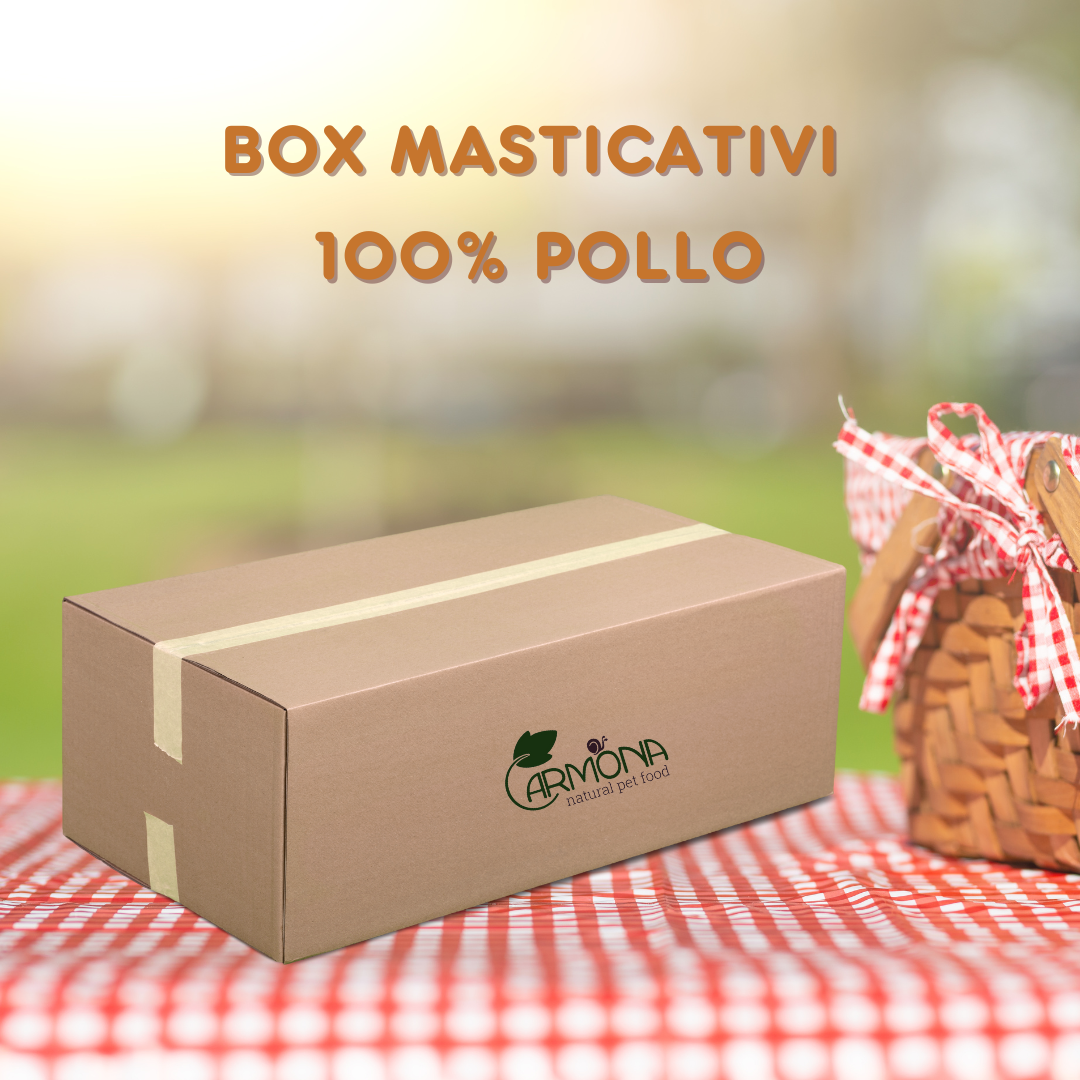 BOX MASTICATIVI 100% POLLO