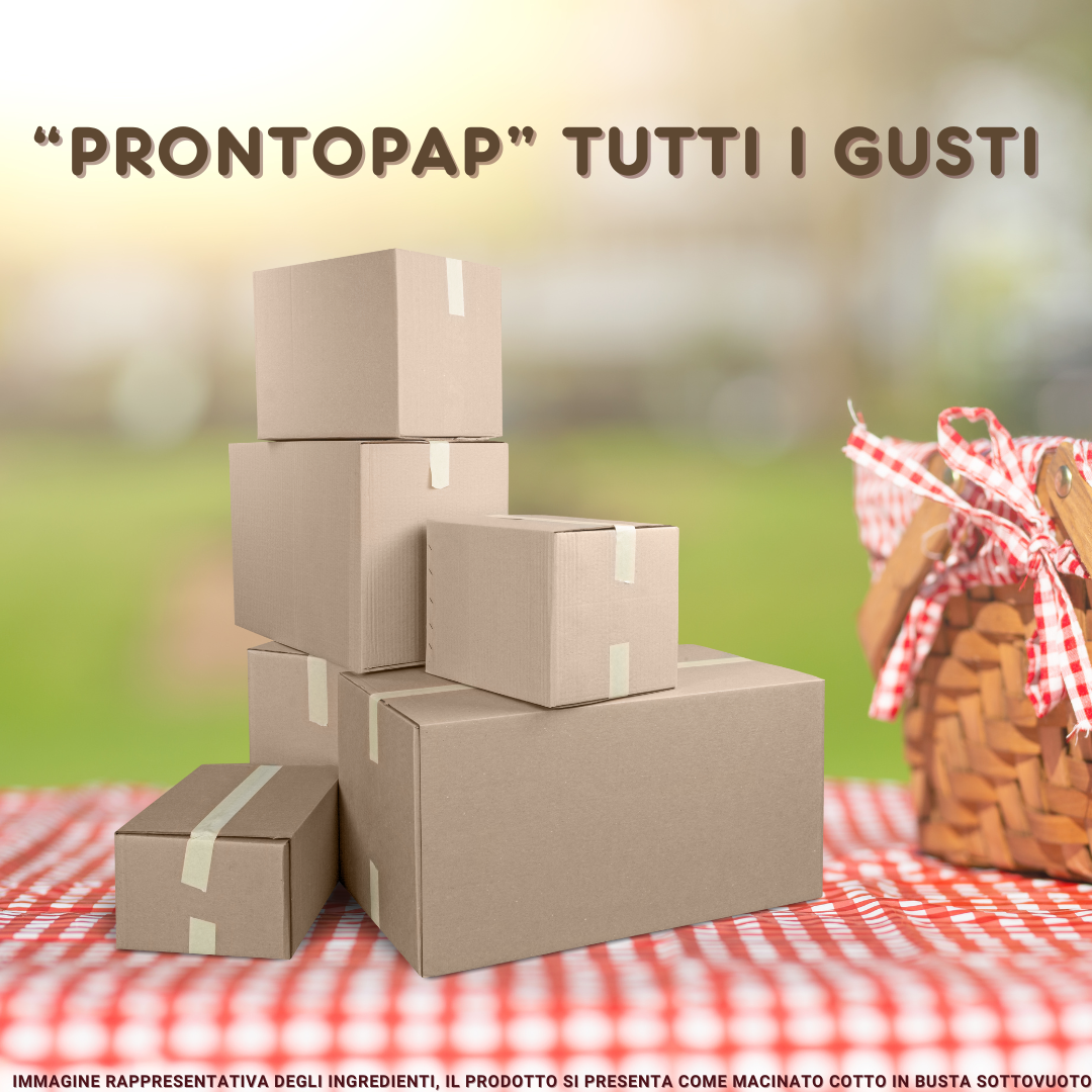 PRONTOPAP: BOX DA 10 BUSTE x 400 g TUTTI I GUSTI