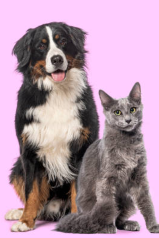 Dosaggio Personalizzato Gratuito per Cani e Gatti