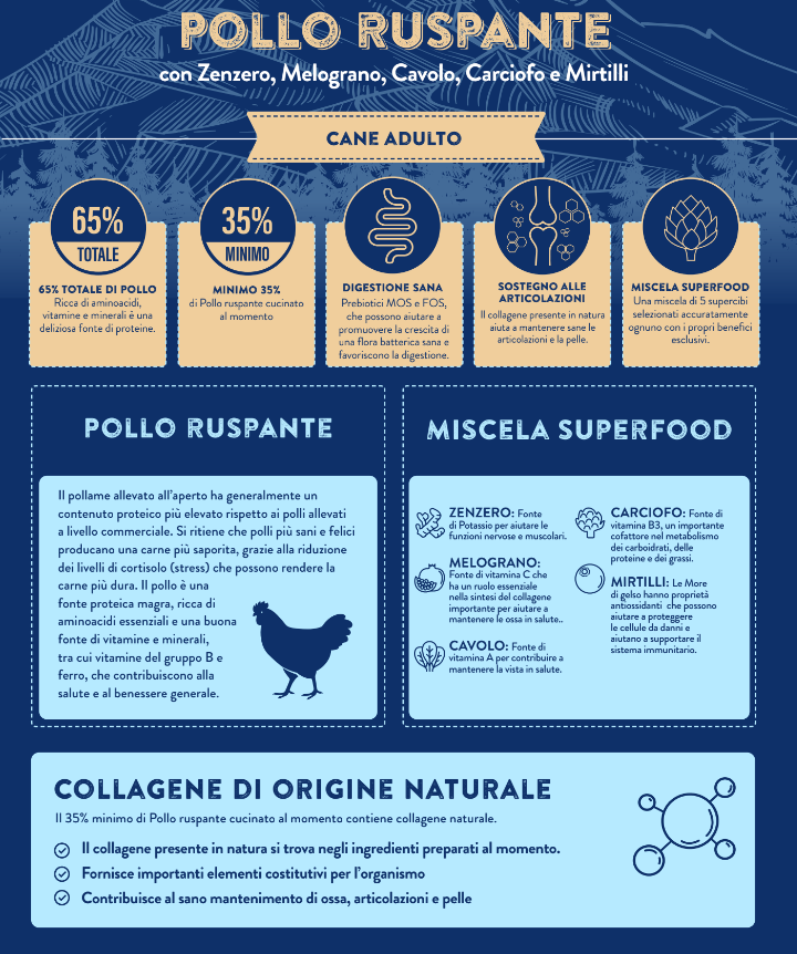 GRAIN FREE CANE ADULTO POLLO RUSPANTE CON ZENZERO, MELOGRANO, CAVOLO, CARCIOFI E MIRTILLI