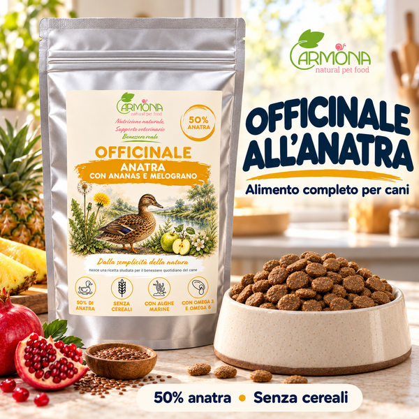 OFFICINALE all'Anatra